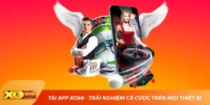 Tải App XO88 - Trải Nghiệm Cá Cược Trên Mọi Thiết Bị